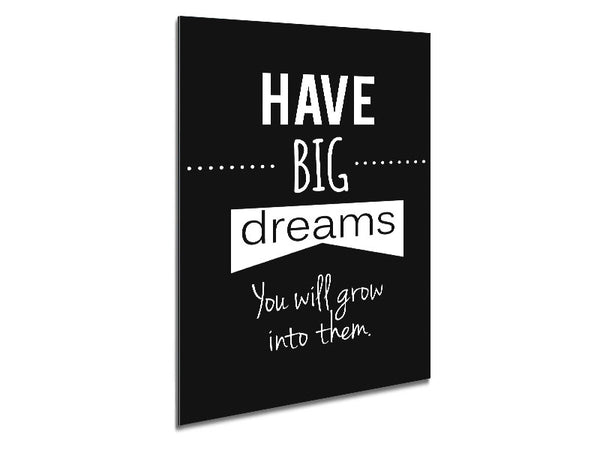 Have Big Dreams