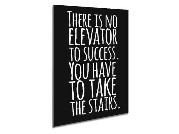 There Is No Elevation To Success