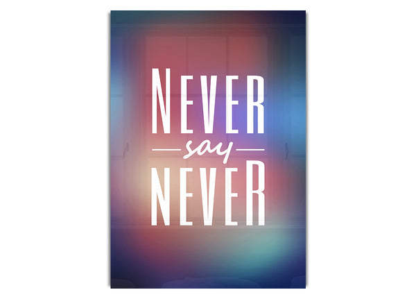 Never Say Never 2