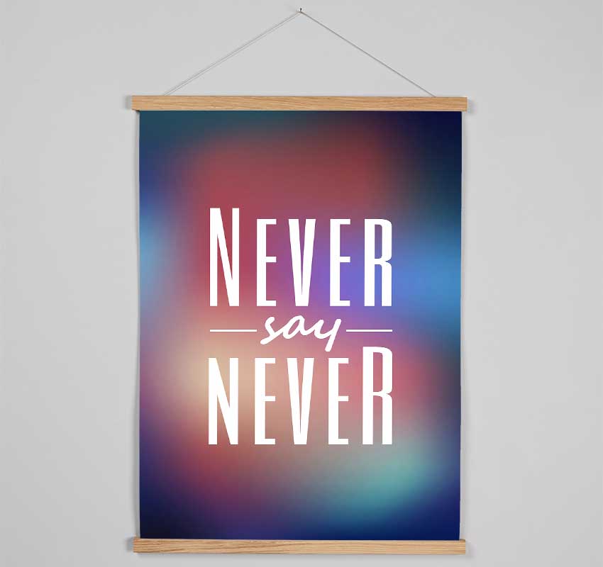 Never Say Never 2 Hanging Poster - Wallart-Direct UK