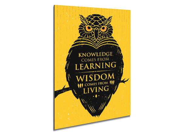 Knowledge And Wisdom