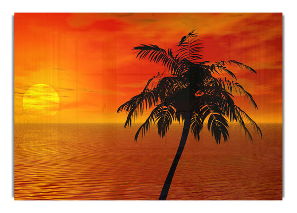 Palm Tree Ocean Sun