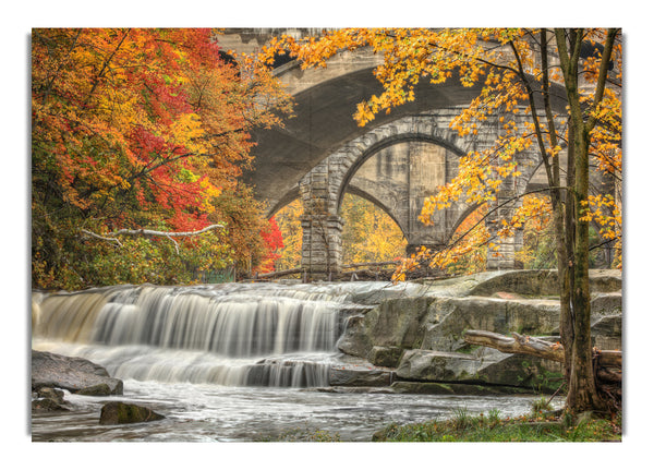 Bridge In The Forest