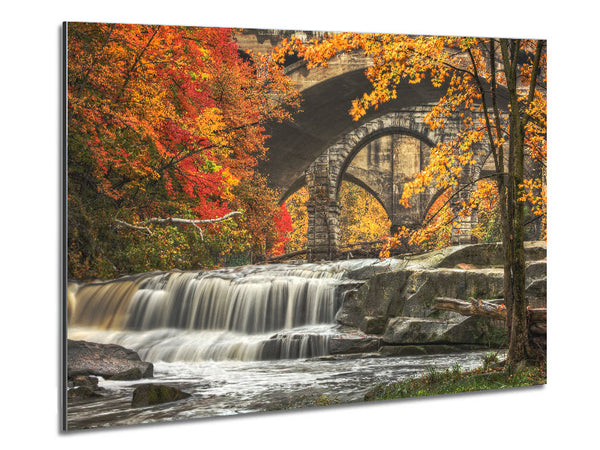 Bridge In The Forest