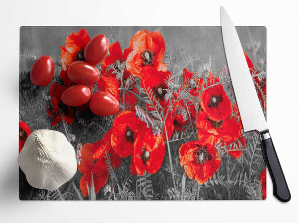 Red poppy closeup Glass Chopping Board