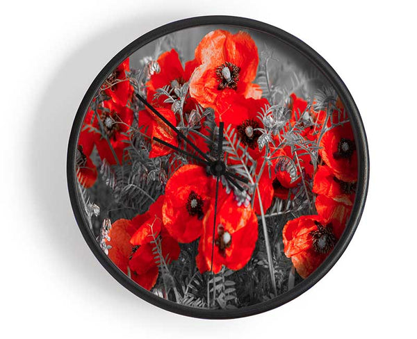 Red poppy closeup Clock - Wallart-Direct UK