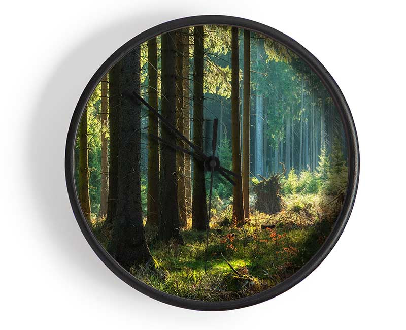 Magical forest sunset Clock - Wallart-Direct UK