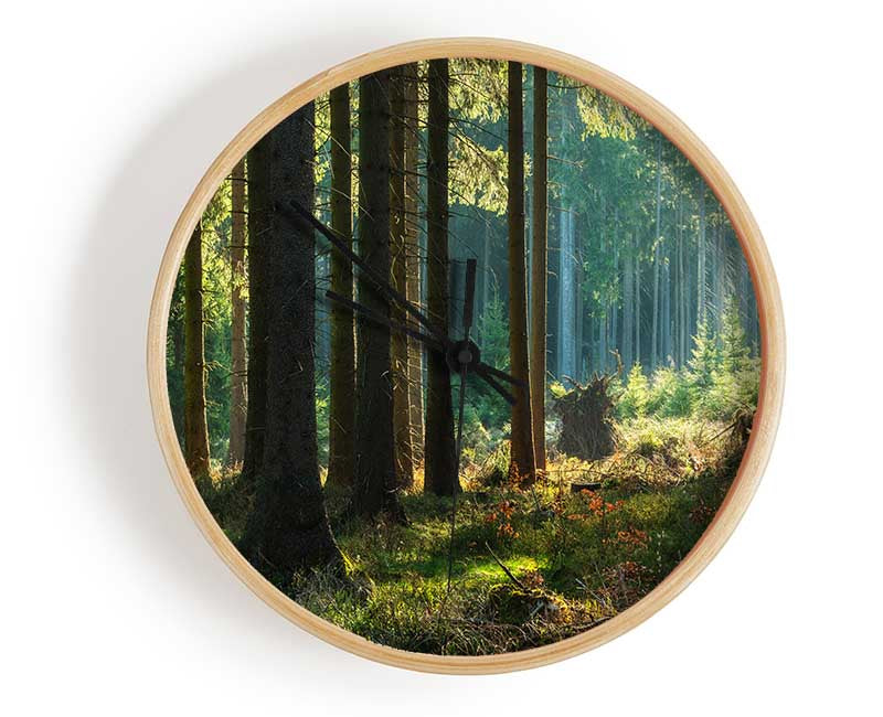 Magical forest sunset Clock - Wallart-Direct UK