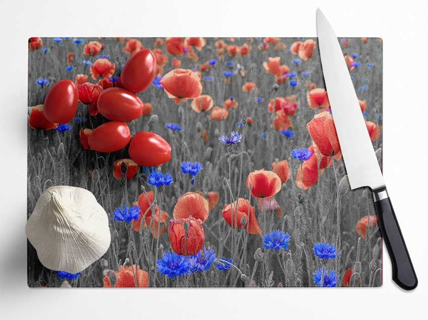 Red poppies blue field Glass Chopping Board