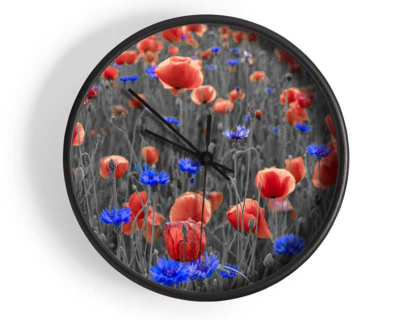 Red poppies blue field Clock - Wallart-Direct UK