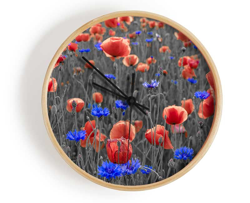 Red poppies blue field Clock - Wallart-Direct UK