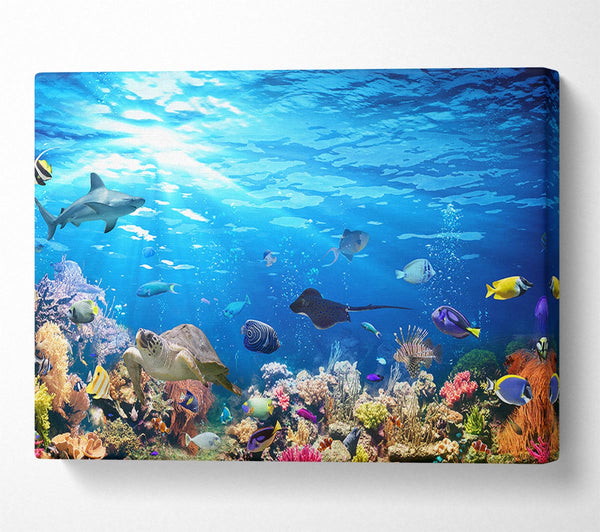 Picture of Creatures in the reef Canvas Print Wall Art