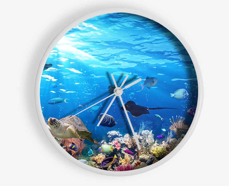 Creatures in the reef Clock - Wallart-Direct UK