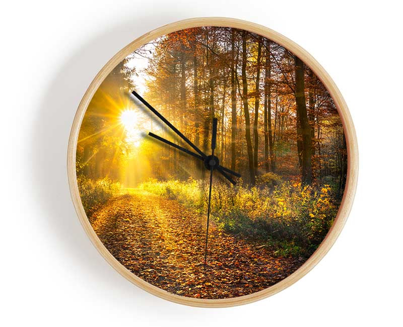 Woodland Walk In the Autumn Clock - Wallart-Direct UK