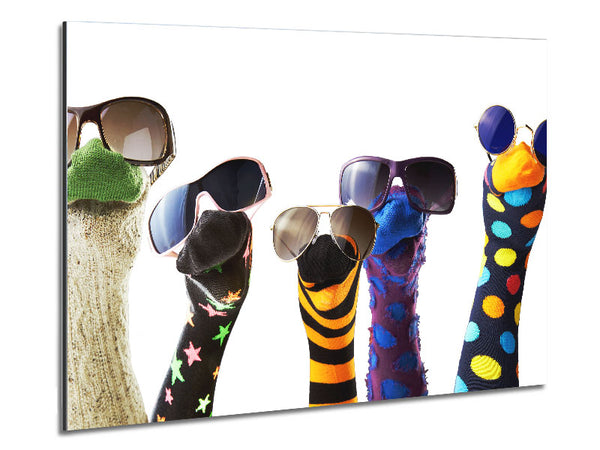 Sock Puppets with shades