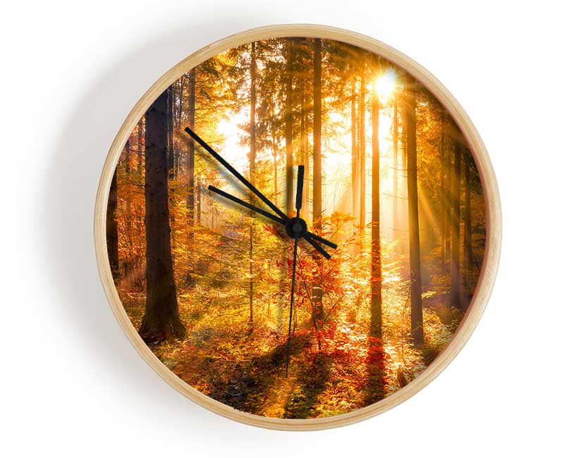 Autumn Sunray Through the forest Clock - Wallart-Direct UK