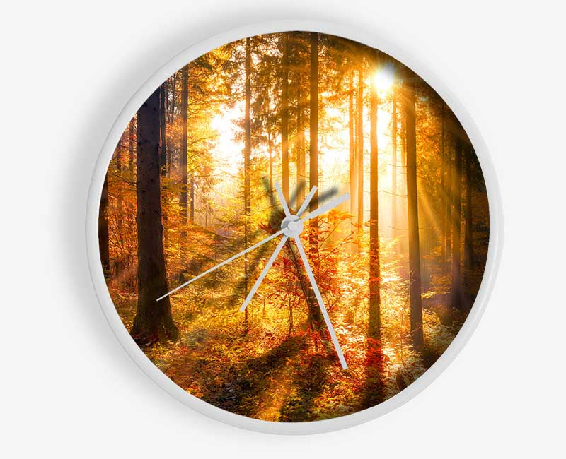 Autumn Sunray Through the forest Clock - Wallart-Direct UK