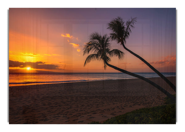 Two palm trees on the beach