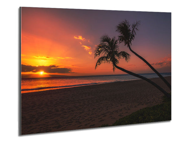 Two palm trees on the beach