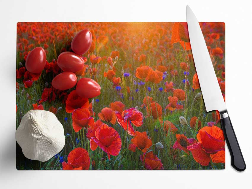 Red Poppies sun ray Glass Chopping Board