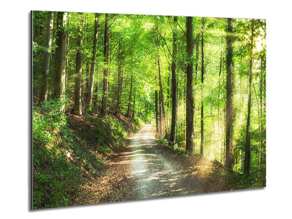 Green Forest Walkway trail