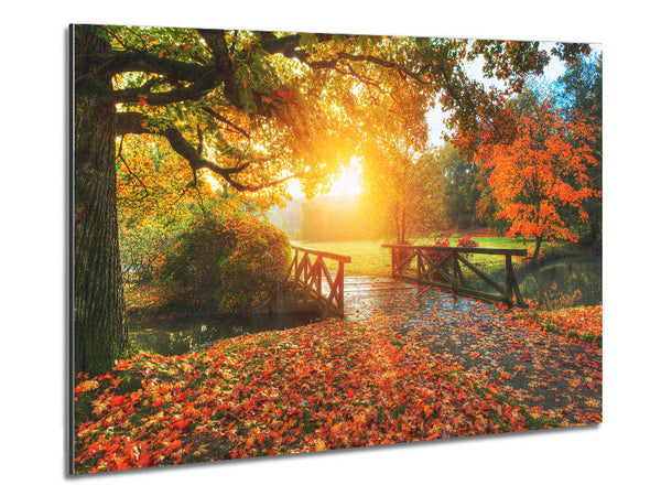 Woodland Bridge Autumn tranqulity