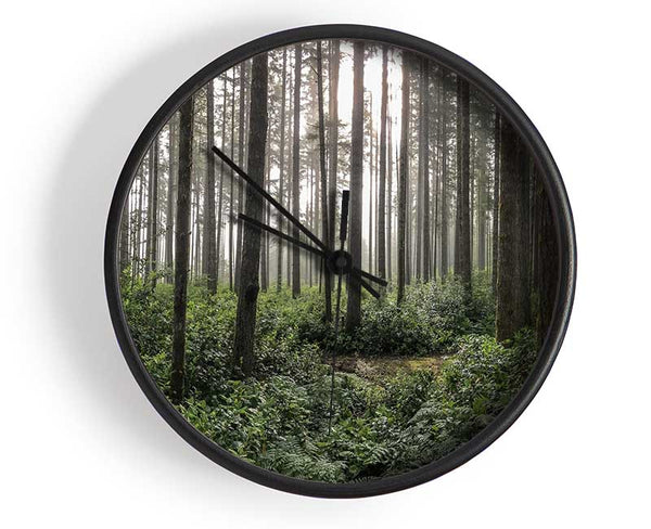 Tall trees in the old woodland Clock - Wallart-Direct UK