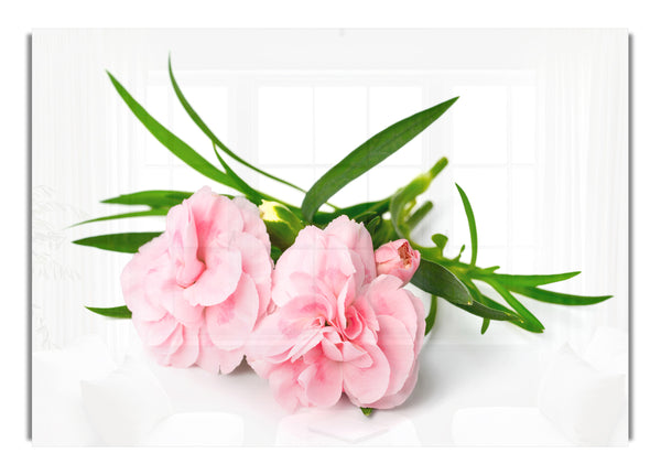 Pink flowers laid out