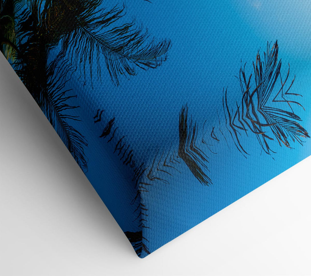 Picture of Palm tree close up on beach Canvas Print Wall Art