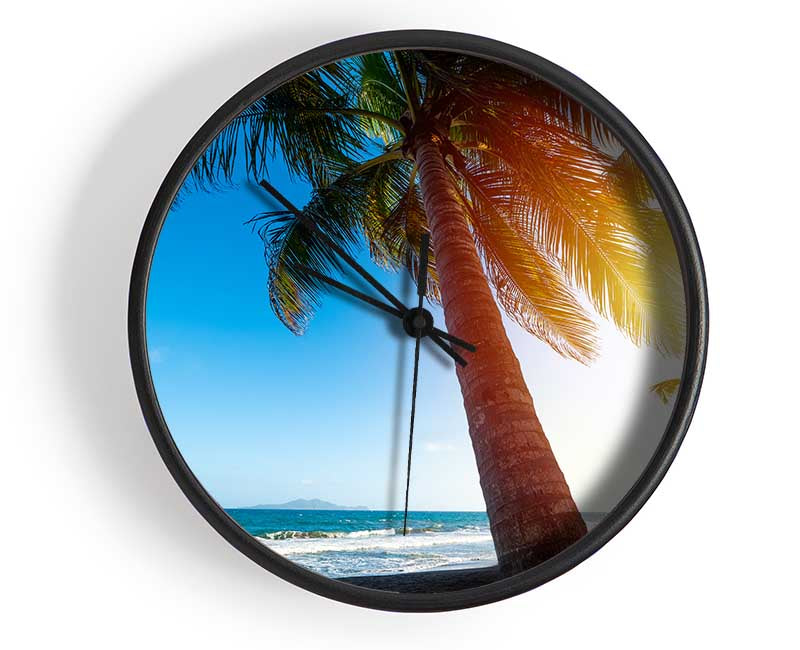 Palm tree close up on beach Clock - Wallart-Direct UK