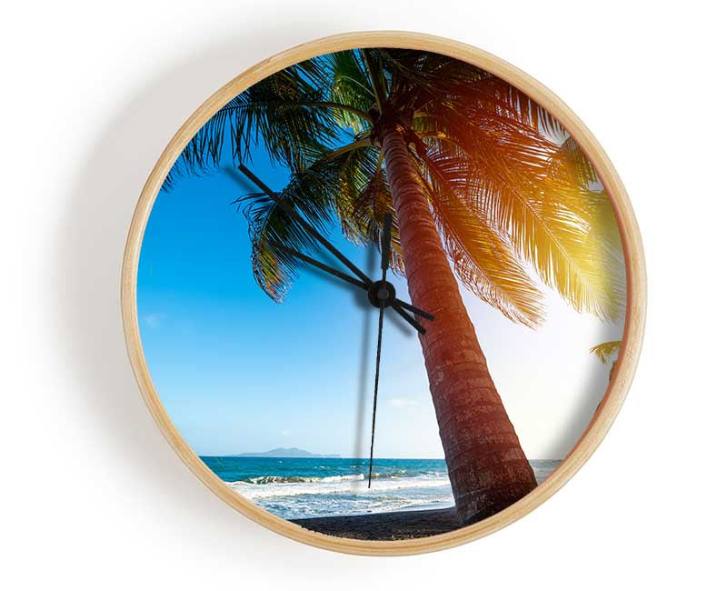 Palm tree close up on beach Clock - Wallart-Direct UK