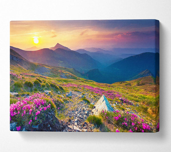 Picture of Beautiful mountain range and flowers Canvas Print Wall Art