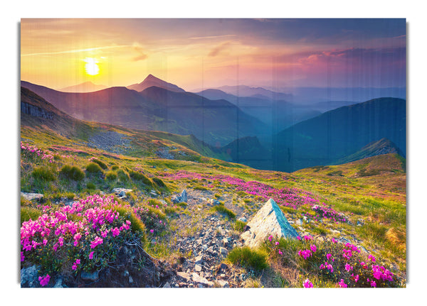 Beautiful mountain range and flowers