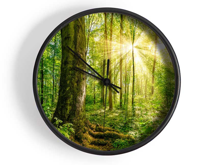 Bright light flare in the forest Clock - Wallart-Direct UK