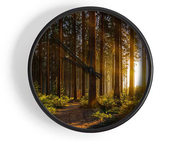 Sunrays forest spectrum Clock - Wallart-Direct UK