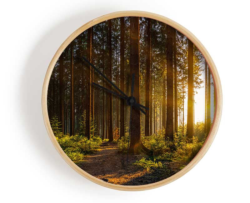 Sunrays forest spectrum Clock - Wallart-Direct UK