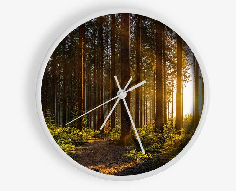 Sunrays forest spectrum Clock - Wallart-Direct UK