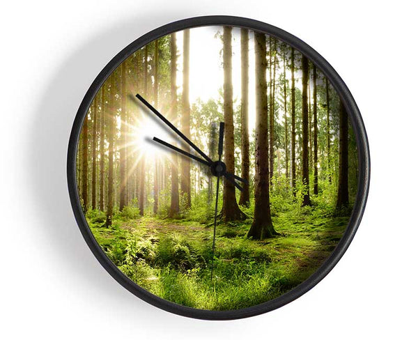 Sunshine in the green woodlands Clock - Wallart-Direct UK