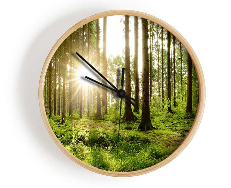 Sunshine in the green woodlands Clock - Wallart-Direct UK