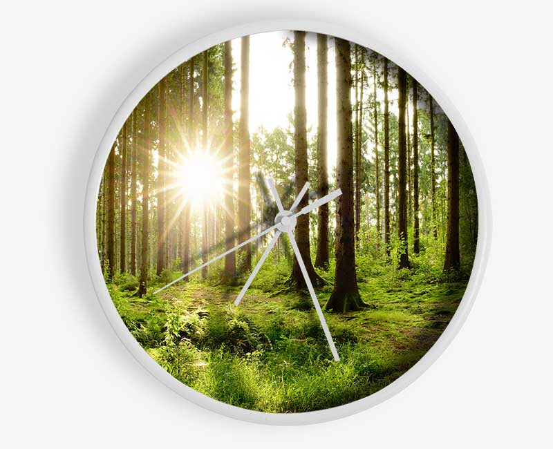 Sunshine in the green woodlands Clock - Wallart-Direct UK