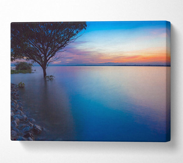 Picture of Tree in the river Canvas Print Wall Art