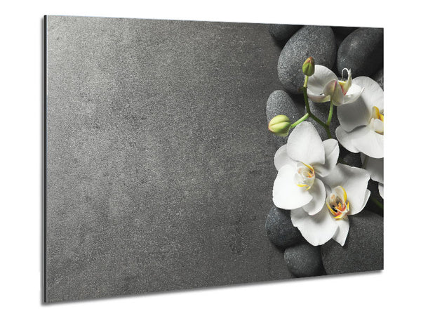 White Orchid on grey pebbles