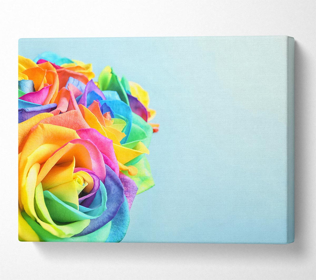 Picture of Rose colour rainbow Canvas Print Wall Art