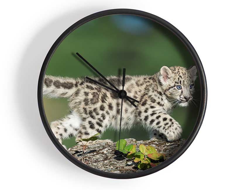 Leopard Cub walking a branch Clock - Wallart-Direct UK