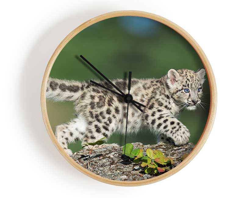 Leopard Cub walking a branch Clock - Wallart-Direct UK