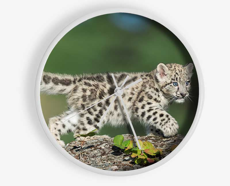 Leopard Cub walking a branch Clock - Wallart-Direct UK