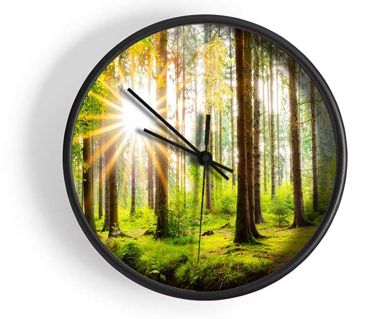 Sun appearing through the trees in britain Clock - Wallart-Direct UK