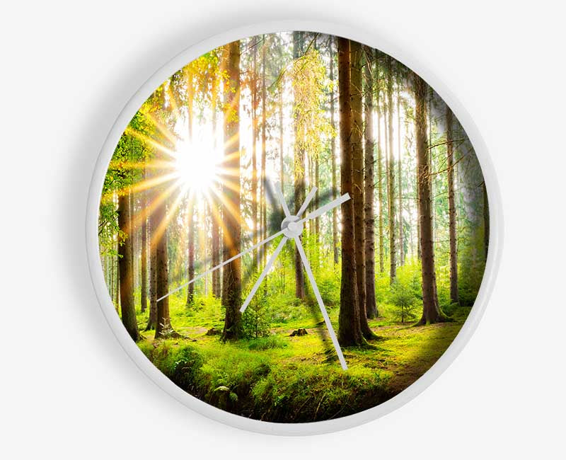 Sun appearing through the trees in britain Clock - Wallart-Direct UK