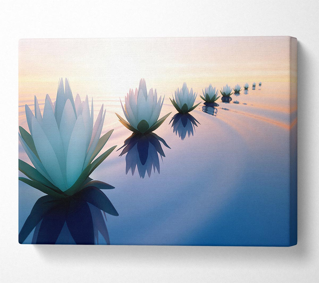 Picture of Waterlillies lined up Canvas Print Wall Art