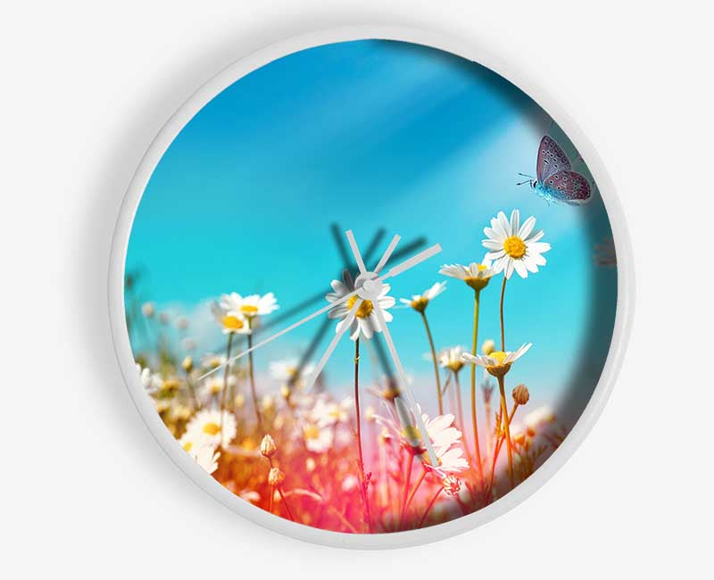 Butterfly landing on a daisy Clock - Wallart-Direct UK